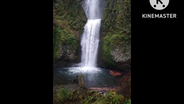 Attack song MP3 Tere Bin Ek Pal Main Mar Java смотреть онлайн