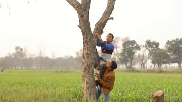 Cutting Kite Caught Vs Trees Eye Kite Catch | Patang Challenge смотреть онлайн