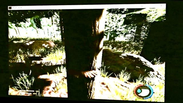The Forest con 100MB de video | 4GB de ram | 2024 смотреть онлайн