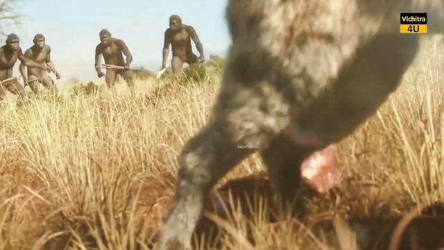 मानव सभ्यता में भोजन के विकास की कहानी। EVOLUTION OF HUMAN FOOD. смотреть онлайн