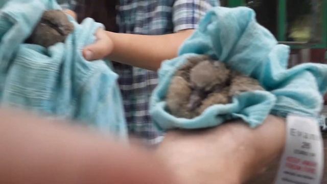 Последствия урагана! смотреть онлайн