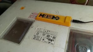 ИНКУБАЦИЯ ЯИЦ ЦЕСАРКИ