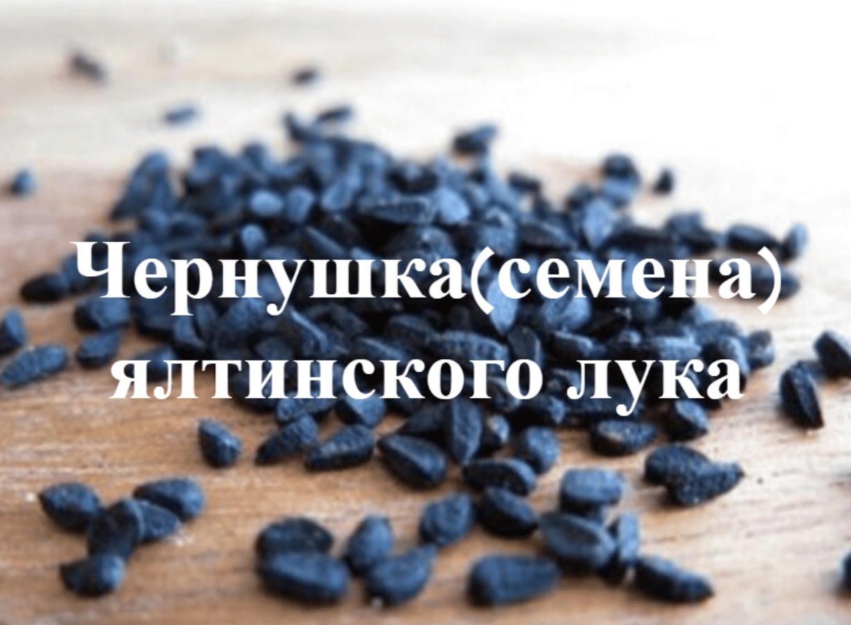Как сажать семена(чернушку) в открытый грунт ялтинского лука.Эксперимент. смотреть онлайн