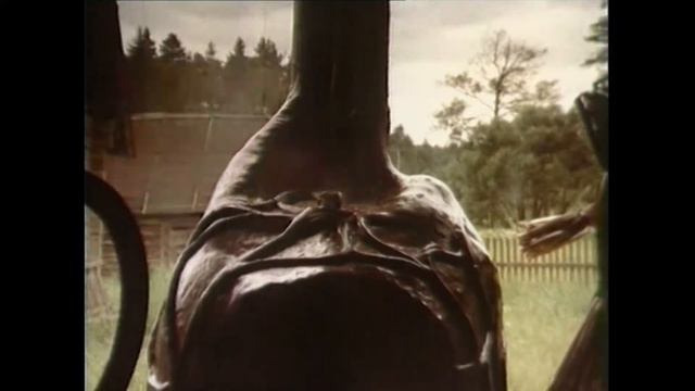 Биопотенциалы В.Кобрин 1988 FHD смотреть онлайн