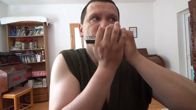 Since I Have Been Redeemed | Hohner Echo Harp 54/64 M 1 A/D смотреть онлайн