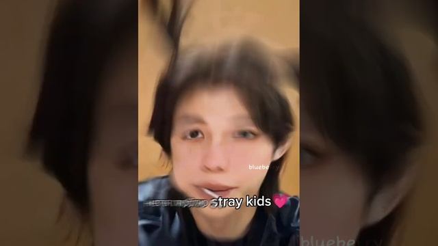 #straykids #стрейкидс #хенджин #феликс #джисон #минхо #банчан #чанбин #сынмин #чонин смотреть онлайн