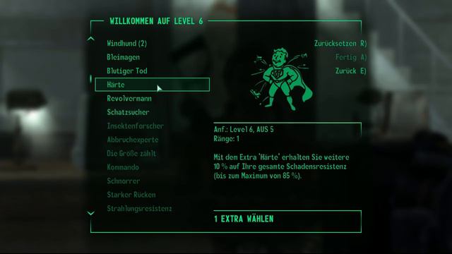 Level Aufstieg + Schatzsucher! - #035 - Alina zockt Fallout 3 (Blind) смотреть онлайн