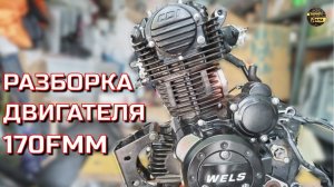 170FMM Разборка китайского мотора