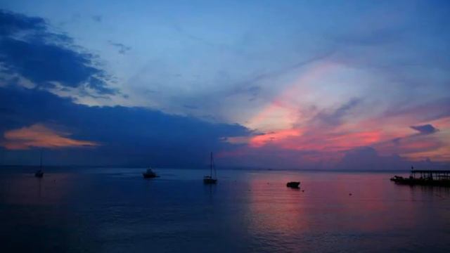 Flamboyan Guest House - Vieques - Puerto Rico