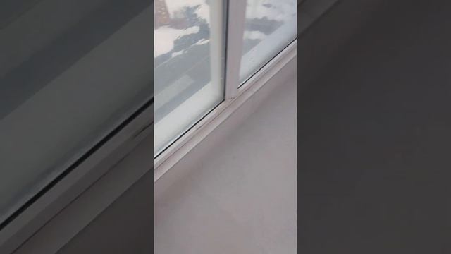 Сургут. Захврова 15/1.кв46 смотреть онлайн