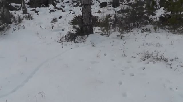 наткнулся на пещеру в лесу смотреть онлайн