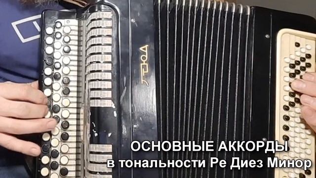 ОСНОВНЫЕ АККОРДЫ в тональности Ре Диез Минор/Удобная тональность для МУЖСКОГО голоса (ЧЁРНЫЕ КНОПКИ смотреть онлайн