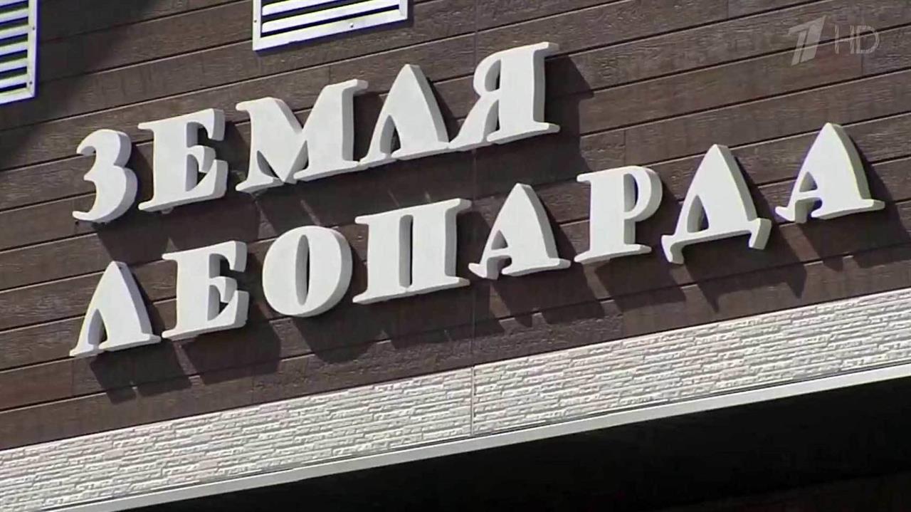Уникальный центр по сохранению дальневосточного леопарда открыли в Приморье смотреть онлайн