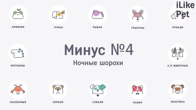 6 минусов содержания шиншиллы смотреть онлайн
