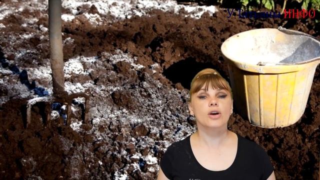 По ВЕДРУ ПОМИДОРОВ (томатов) с КУСТА обеспечено!!! смотреть онлайн