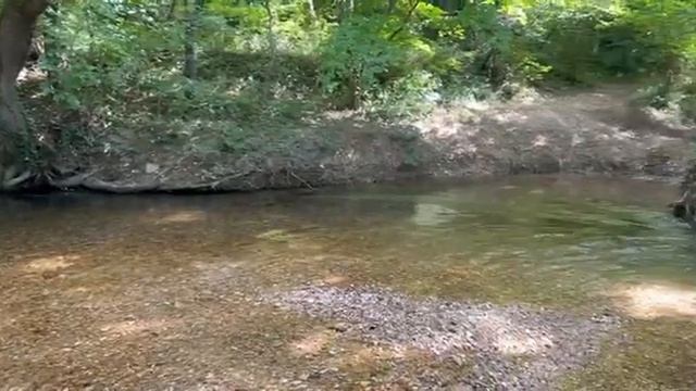 Крым, Севастополь, р.Черная 4.09.2022 смотреть онлайн