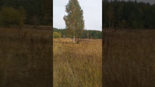 Брянская область. Город Клинцы. Река Унеча смотреть онлайн