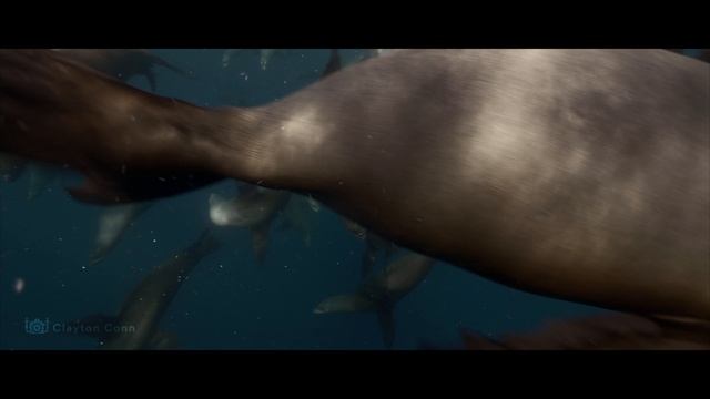 ТИХИЙ ОКЕАН смотреть онлайн