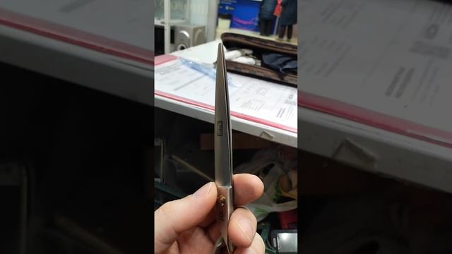 Ножницы для Груминга после заточки смотреть онлайн