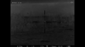 Охота на лису с мелкашкой / Fox hunting with 22lr