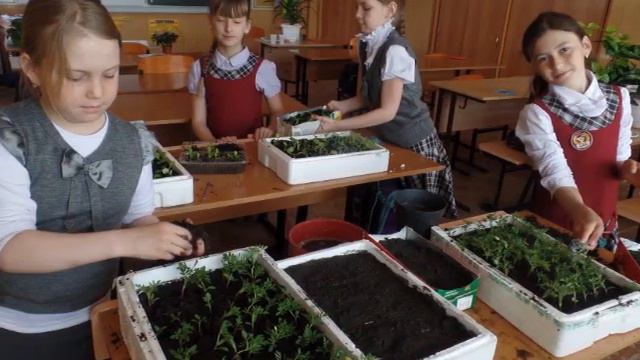 С последним школьным звонком смотреть онлайн