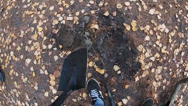 Нашел ЗОЛОТОЕ КОЛЬЦО МЕТАЛЛОИСКАТЕЛЕМ , девушка в шоке !!! смотреть онлайн