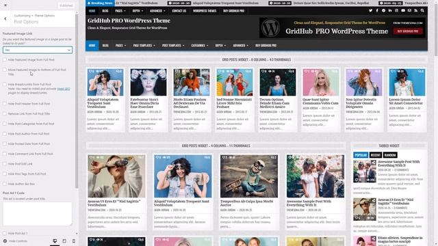 Customizer Theme Options - GridHub PRO WordPress Theme смотреть онлайн