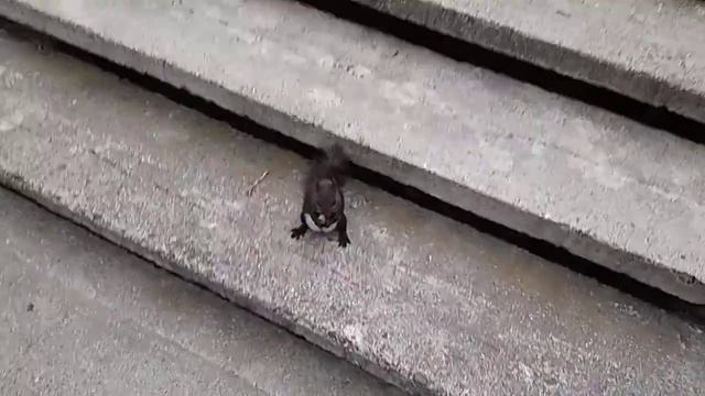 Счастливая, нет ей дела до состояния футбола в России! смотреть онлайн