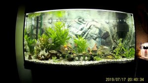 Аквариум на 350 литров часть 1