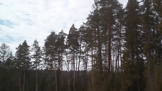 Танго звучит - Стихи Фенько Юрий Музыка Жуков Николай Вокал;Крюков Василий смотреть онлайн