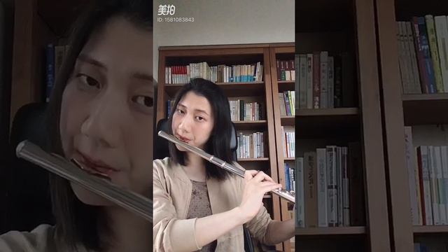 莫斯科郊外的晚上 Moscow night Подмосковные Вечера flute смотреть онлайн