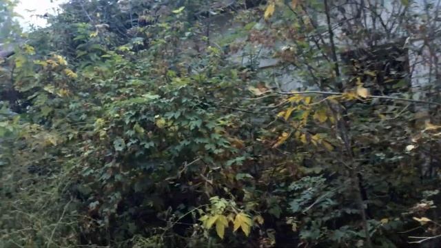 3. Бывшее Торгово-кулинарное училище (впоследствии Ремесленное училище) смотреть онлайн