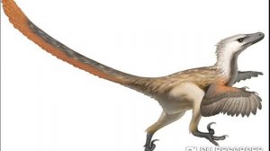 Кто такой велоцираптор?