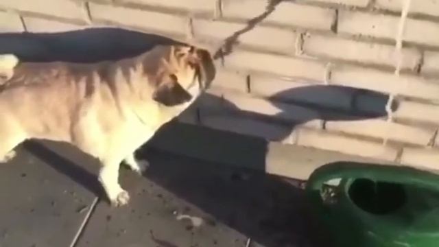 Gulp смотреть онлайн