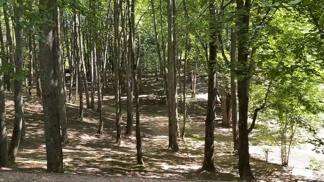 Деревенские будни // Второй фундамент // Готовимся качать мед смотреть онлайн