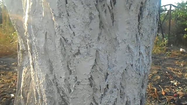 Муравьи - санитары или вредители?... смотреть онлайн