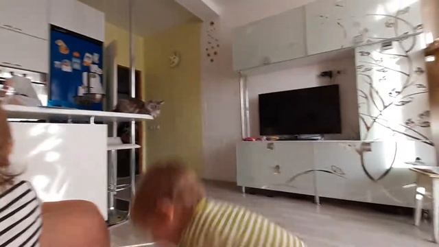 Мейн куны и дети ? смотреть онлайн