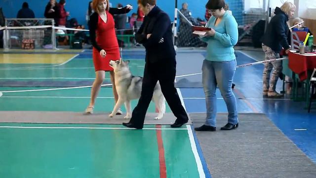 Bueno Pardo Li -Day ~ЛЕДИ~ BOBJun BOS смотреть онлайн