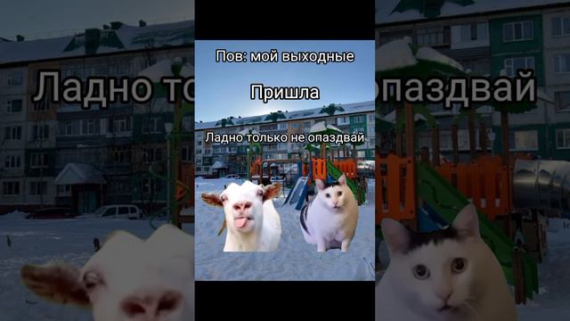 Не знаю зачем это видео зделала🫤 ╮(╯_╰)╭ смотреть онлайн