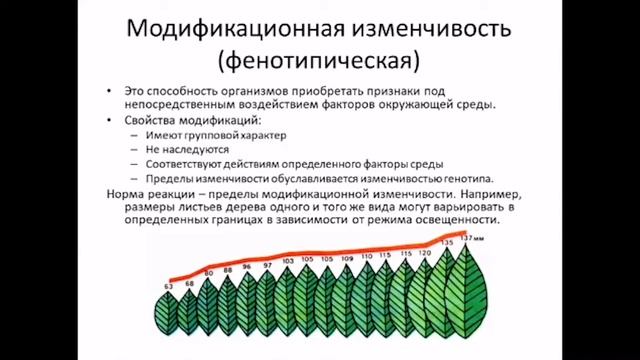 IV четверть, Биология 7 класс 2 урок