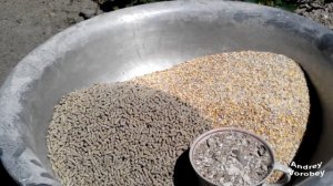 Чем кормить бройлеров, для укрепления костей.