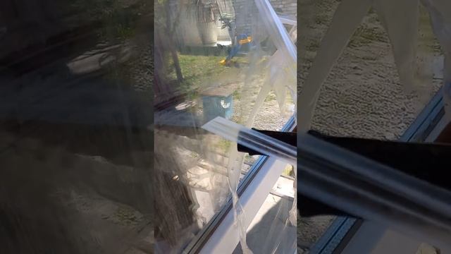 Чистота и радость в каждом движении