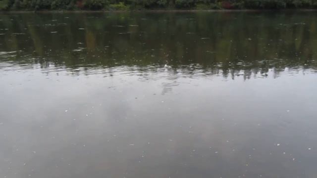 Кан 2013. Рыбалка на ельца. Часть 1. смотреть онлайн