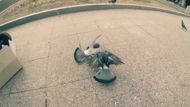 VBT Вектор Beat - Чеканю слово (Mood video) смотреть онлайн