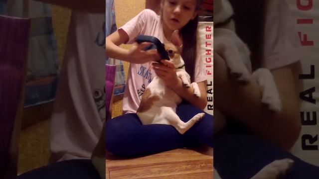 ПОКУПКИ ИЗ ЗООМАГАЗИНА смотреть онлайн