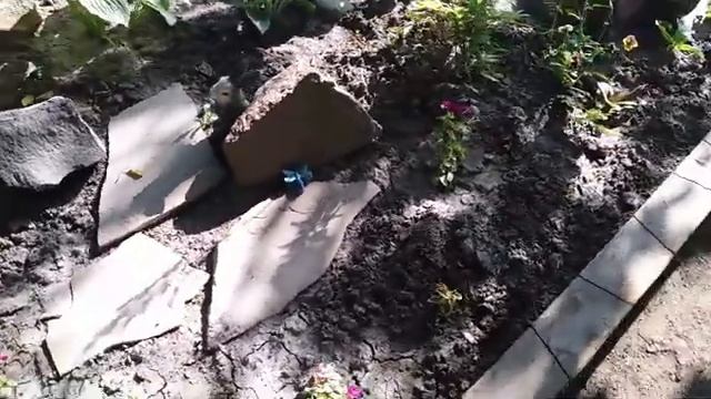 Декорирую бордюр, эконом вариант?//клумба смотреть онлайн