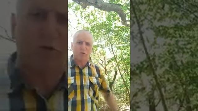 3.08.2022.Германия,Шофар,Кровь Иисуса Христа,Огонь Духа Святого на очищение рода.Молитва. смотреть онлайн