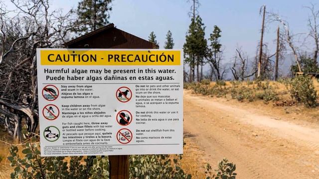 Новая тайна 2021 что убило эту семью Загадочный случай смотреть онлайн