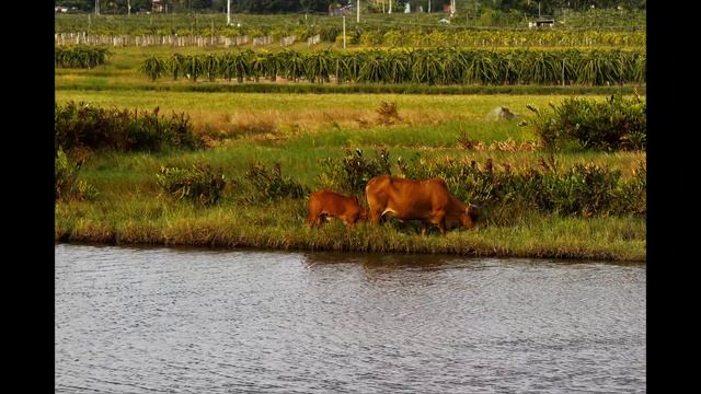 Фото #bike_trip_Vietnam Фантьет и Муйне;)
