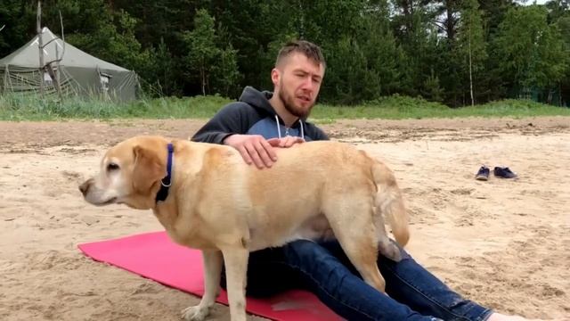 ЙОГА в Пампасах с Ингой 2018-06 смотреть онлайн